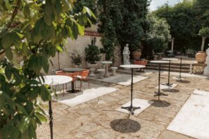 Editare Video de Calitate la EkoGroup Vila: Detalii Aprofundate