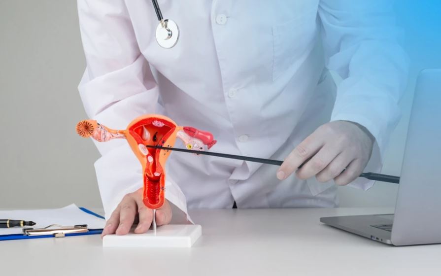 Hysteroscopy
