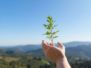 Pământ protejat, mâini, copaci verzi, orizont curat.